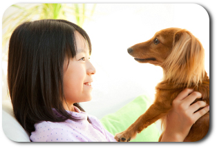 少女と犬